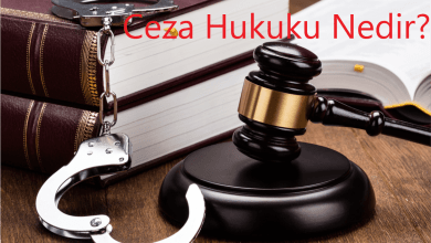 Ceza Hukuku Nedir?